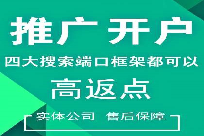 案例解读：SEO与SEM优化助力电商崛起